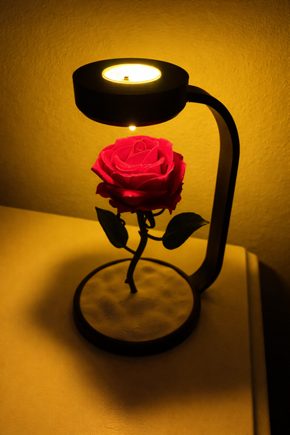 ROVNELA Solmayan Gül