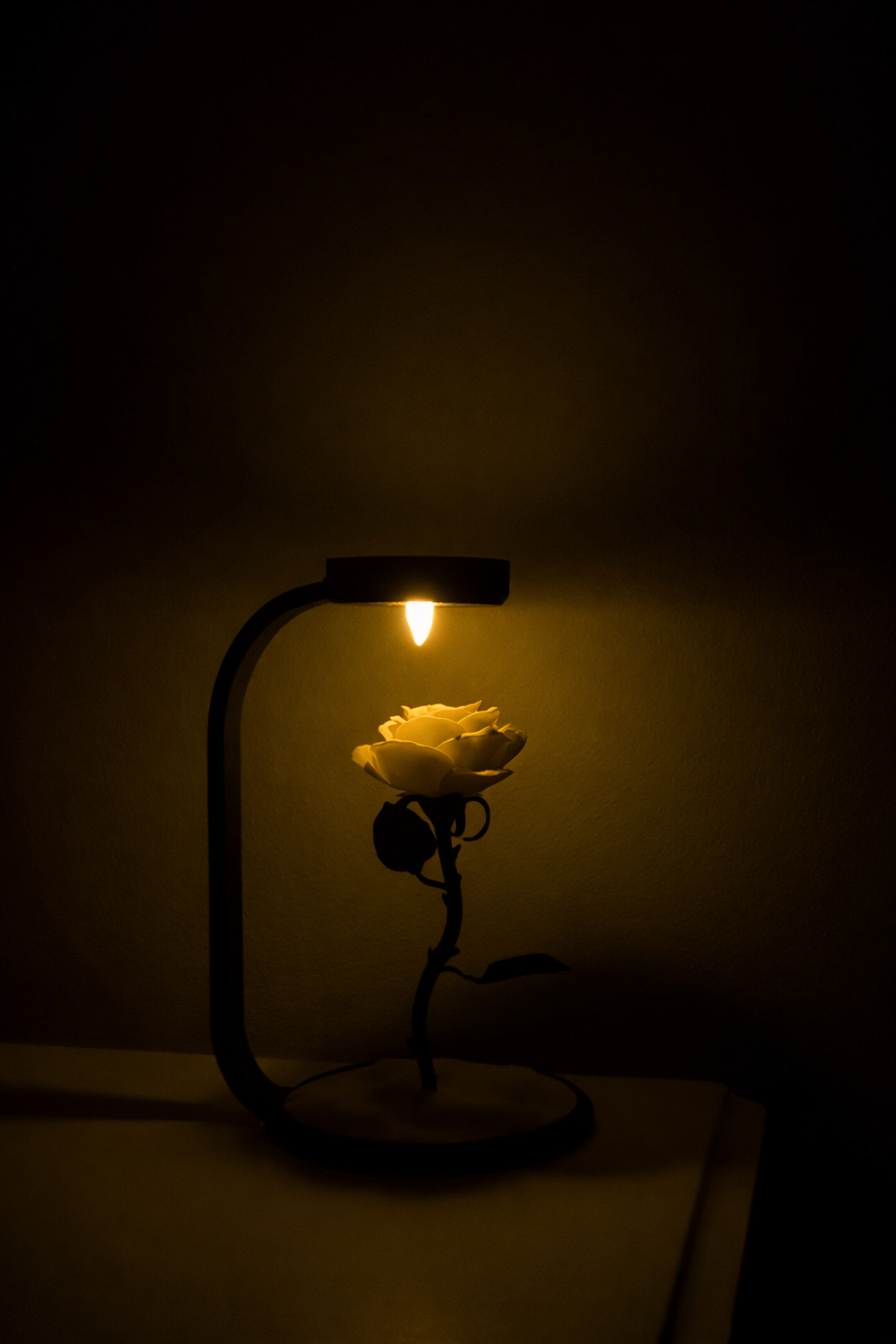 ROVNELA Solmayan Gül