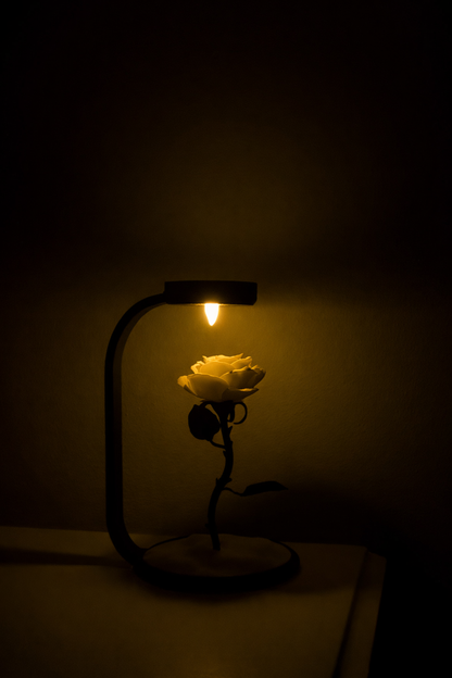 ROVNELA Solmayan Gül