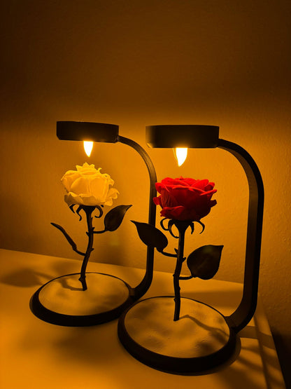 ROVNELA Solmayan Gül