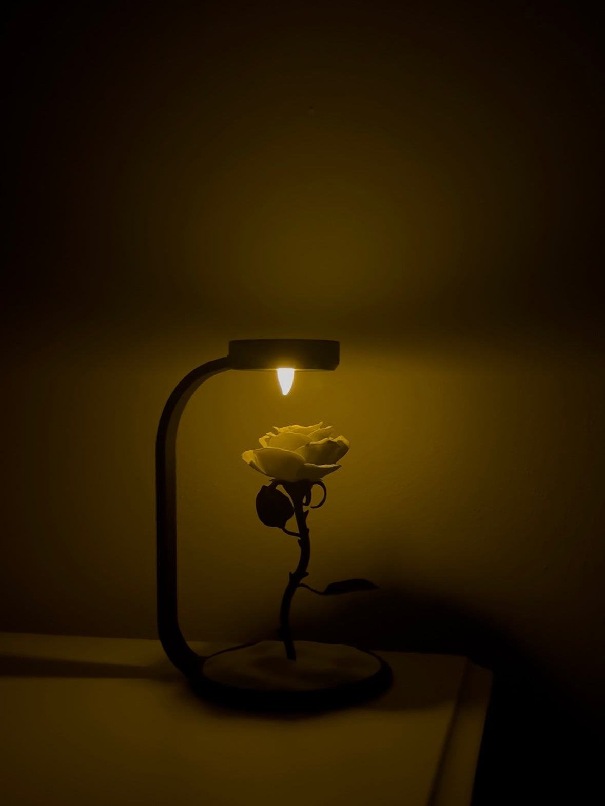 ROVNELA Solmayan Gül